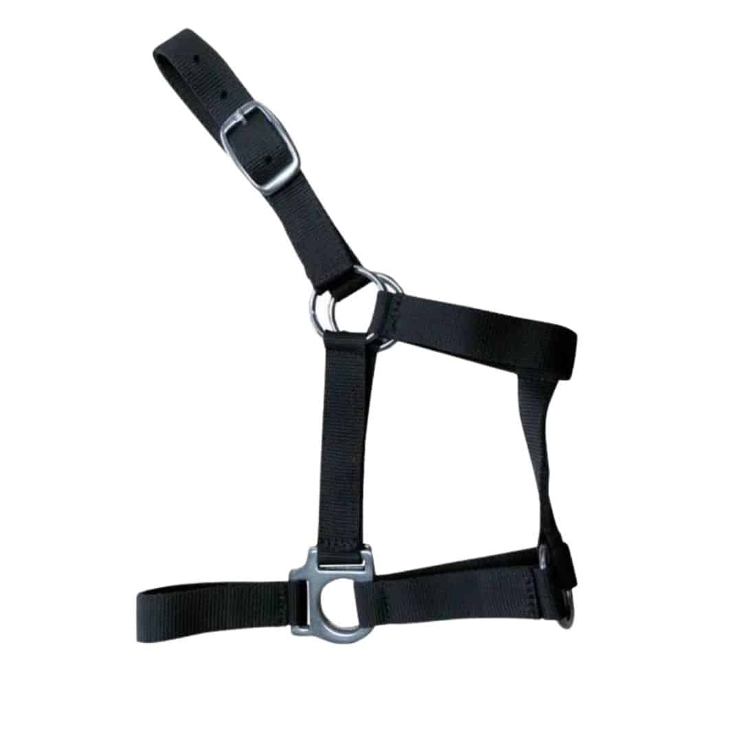 CABEZADA CUADRA NYLON 0278 - Resistente y Ajustable - Tienda Hípica Online | D’Hispania ®