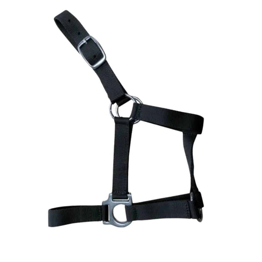 CABEZADA CUADRA NYLON 0278 - Resistente y Ajustable - Tienda Hípica Online | D’Hispania ®