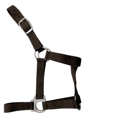 CABEZADA CUADRA NYLON 0278 - Resistente y Ajustable - Tienda Hípica Online | D’Hispania ®