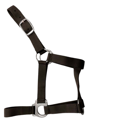 CABEZADA CUADRA NYLON 0278 - Resistente y Ajustable - Tienda Hípica Online | D’Hispania ®