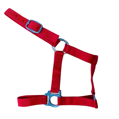 Cabezada de cuadra de nylon para recién nacido de la marca Tienda Hípica D'hispania, ideal para caballos jóvenes.