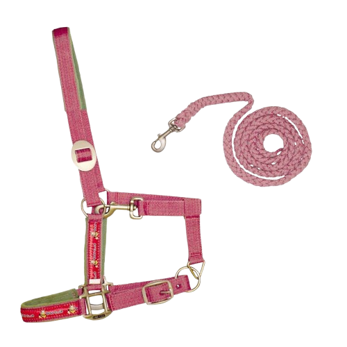 CABEZADA CUADRA + RAMAL PONY CLUB - Tienda Hípica Online | D’Hispania ®