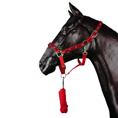 Cabezada cuadra y ramal de polipropileno para caballo, en color natural, con detalles resistentes y ajustables.