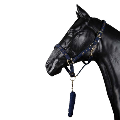 Cabezada cuadra y ramal de polipropileno para caballo, en color natural, con detalles resistentes y ajustables.