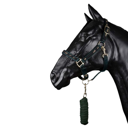 Cabezada cuadra con ramal PP para caballo, en color negro, de la marca Tienda Hípica D'Hispania.