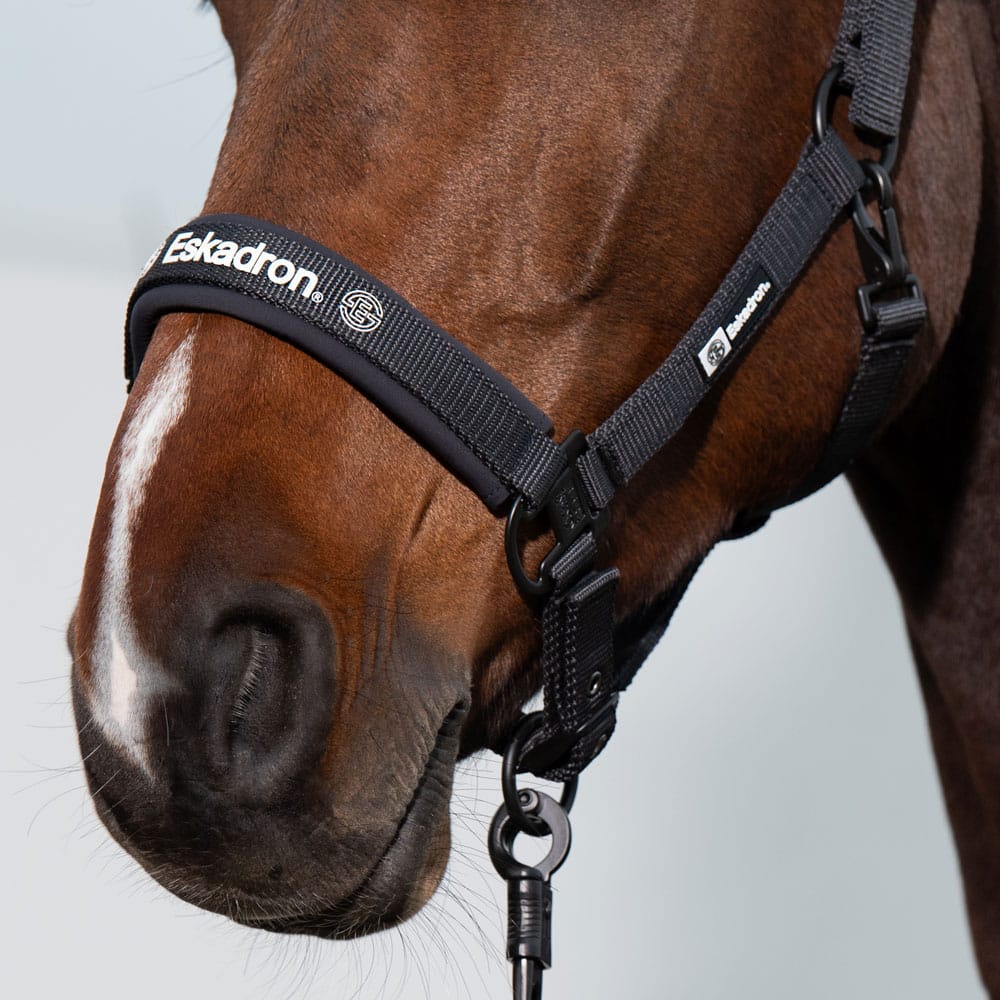 CABEZADA ESKADRON DYNAMIC - Tienda Hípica Online | D’Hispania ®