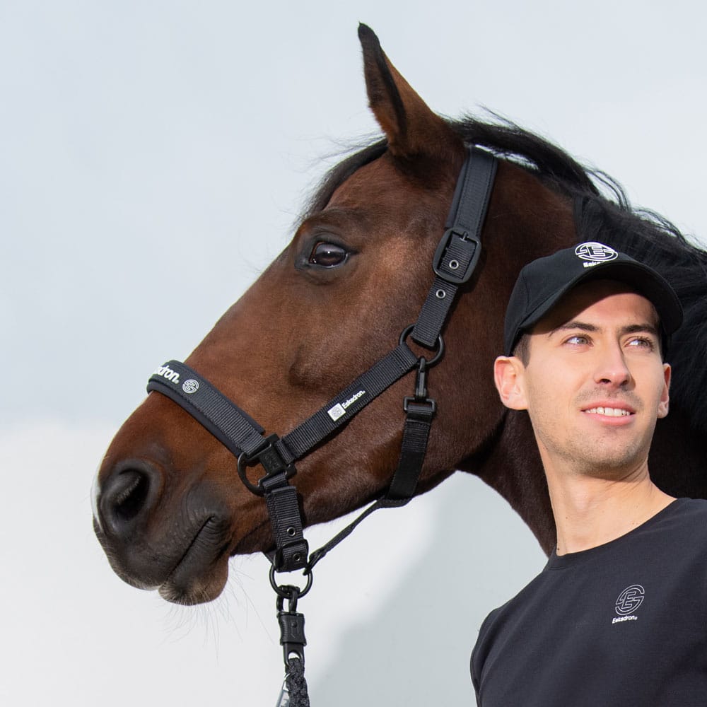 CABEZADA ESKADRON DYNAMIC - Tienda Hípica Online | D’Hispania ®