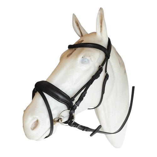 CABEZADA FILETE ALOMADA MODELO OMEGA - Tienda Hípica Online | D’Hispania ®