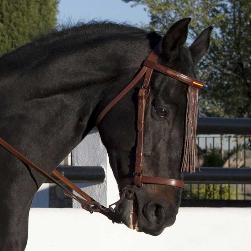 CABEZADA JEREZANA CON BANDERA - Tienda Hípica Online | D’Hispania ®