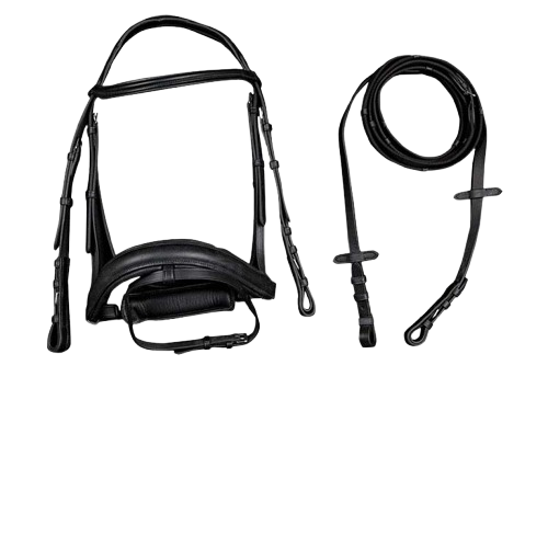 CABEZADA MONTAR DOMA SENCILLA SS - Tienda Hípica Online | D’Hispania ®