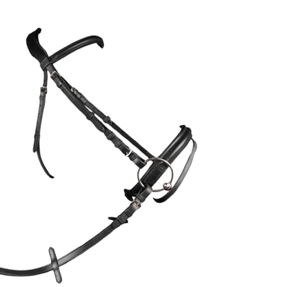 CABEZADA MONTAR INGLESA FI-2141 - Tienda Hípica Online | D’Hispania ®