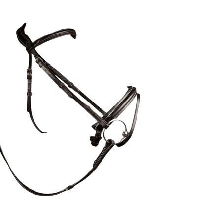 CABEZADA MONTAR INGLESA FI-2161 - Tienda Hípica Online | D’Hispania ®