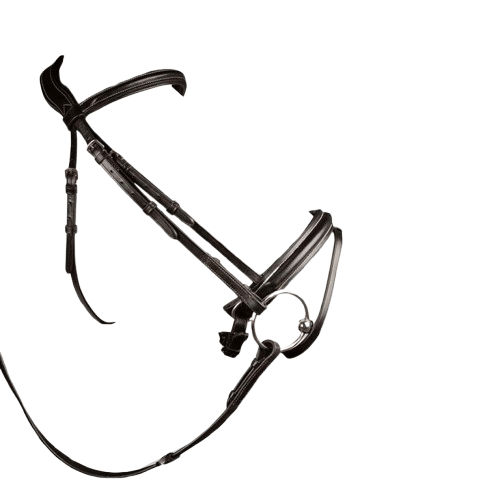 CABEZADA MONTAR INGLESA FI-2161 - Tienda Hípica Online | D’Hispania ®