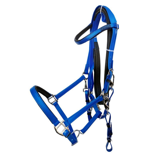 CABEZADA MONTAR RAID ENDURANCE AZBT 790 - Tienda Hípica Online | D’Hispania ®