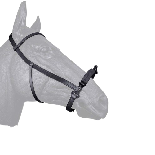 CABEZADA SERRETA PLANA 1-pilar ZALDI EXTRA - Tienda Hípica Online | D’Hispania ®
