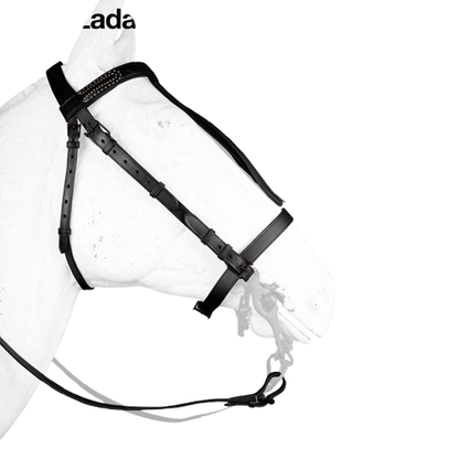 CABEZADA VAQUERA CON AHOGADERO 2128 - Tienda Hípica Online | D’Hispania ®