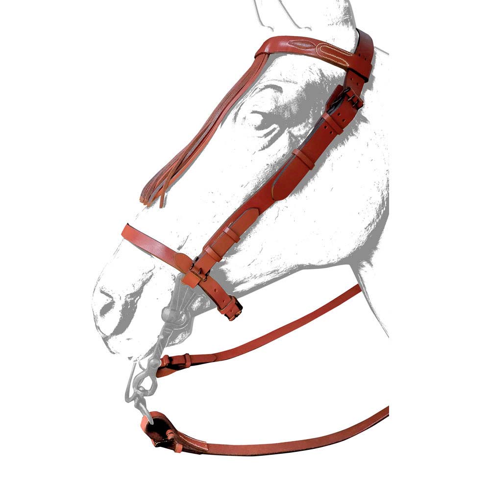 CABEZADA VAQUERA CUERO ANCHA RONDA - Tienda Hípica Online | D’Hispania ®