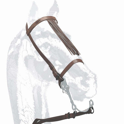 CABEZADA VAQUERA ZALDI EXTRA CON MOSQUERO - Tienda Hípica Online | D’Hispania ®