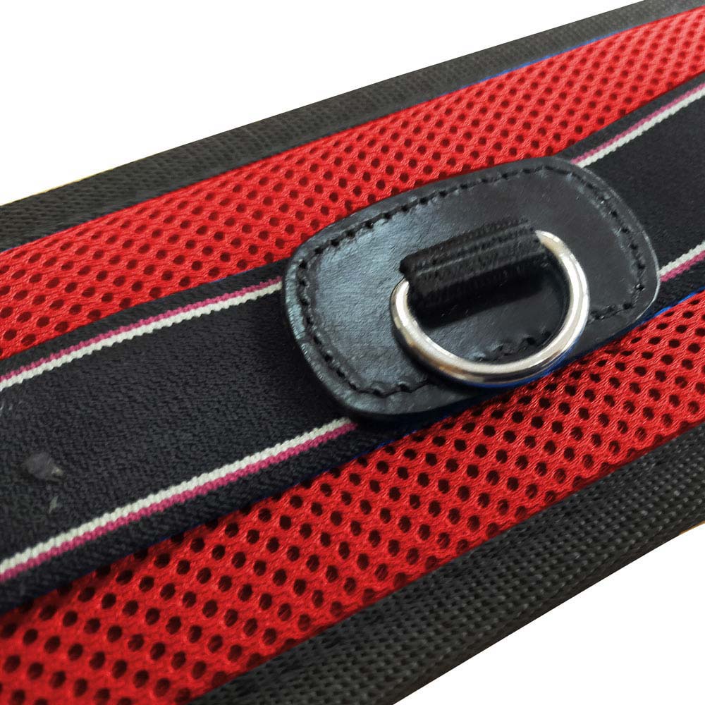 CINCHA CORTA PARA SILLA FREEMAX NEGRO 60cm - Tienda Hípica Online | D’Hispania ®