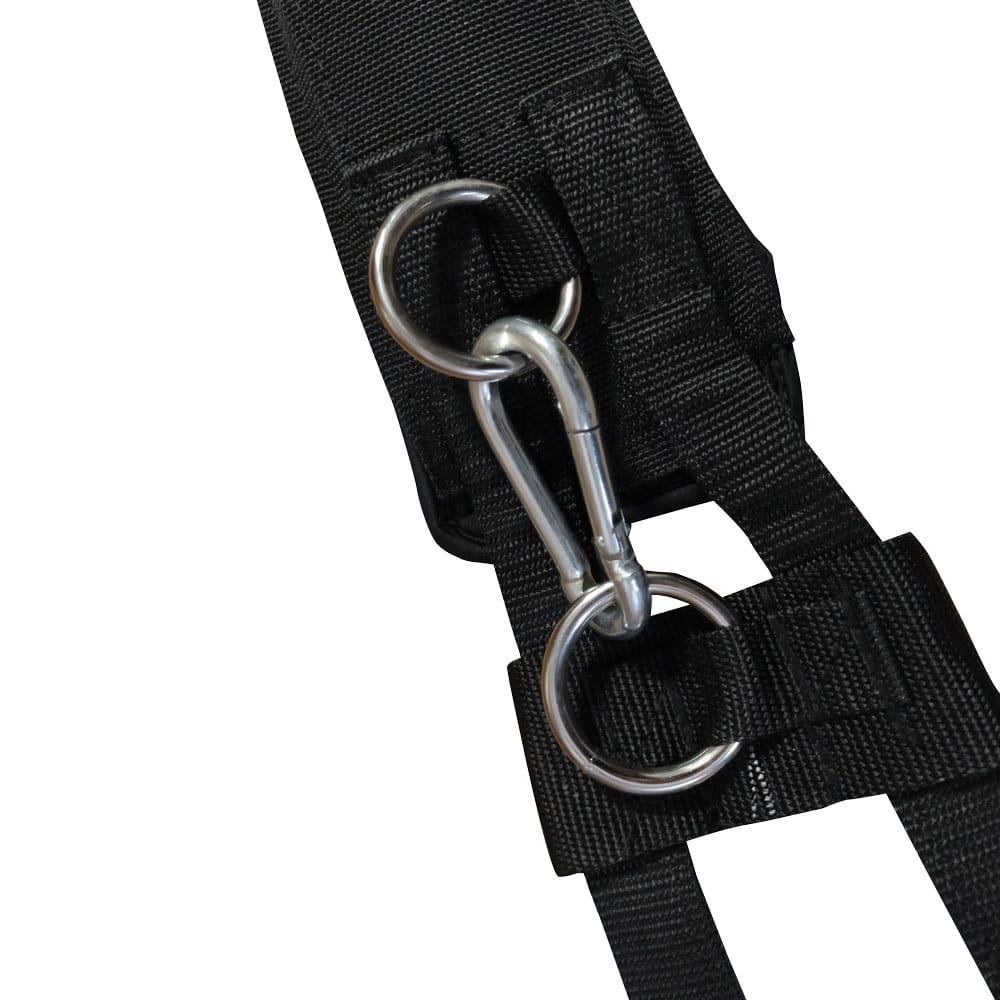 CINCHUELO DOMA ENTRENAMIENTO NEOPRENO 8310 - Tienda Hípica Online | D’Hispania ®