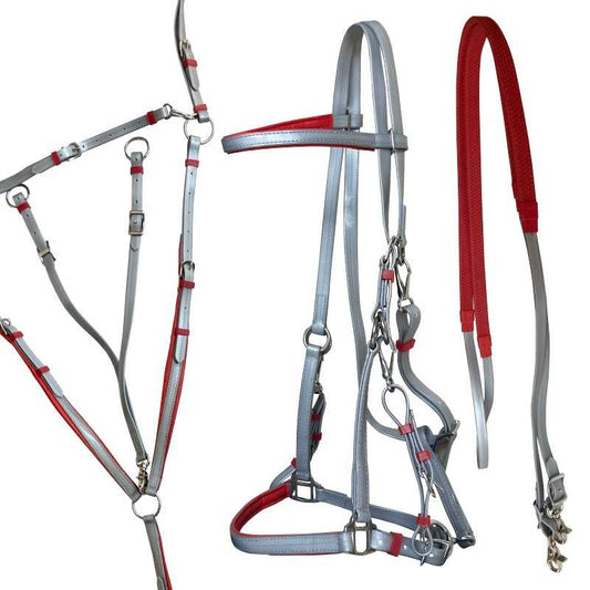 CONJUNTO PARA RAID Y ENDURANCE - Tienda Hípica Online | D’Hispania ®