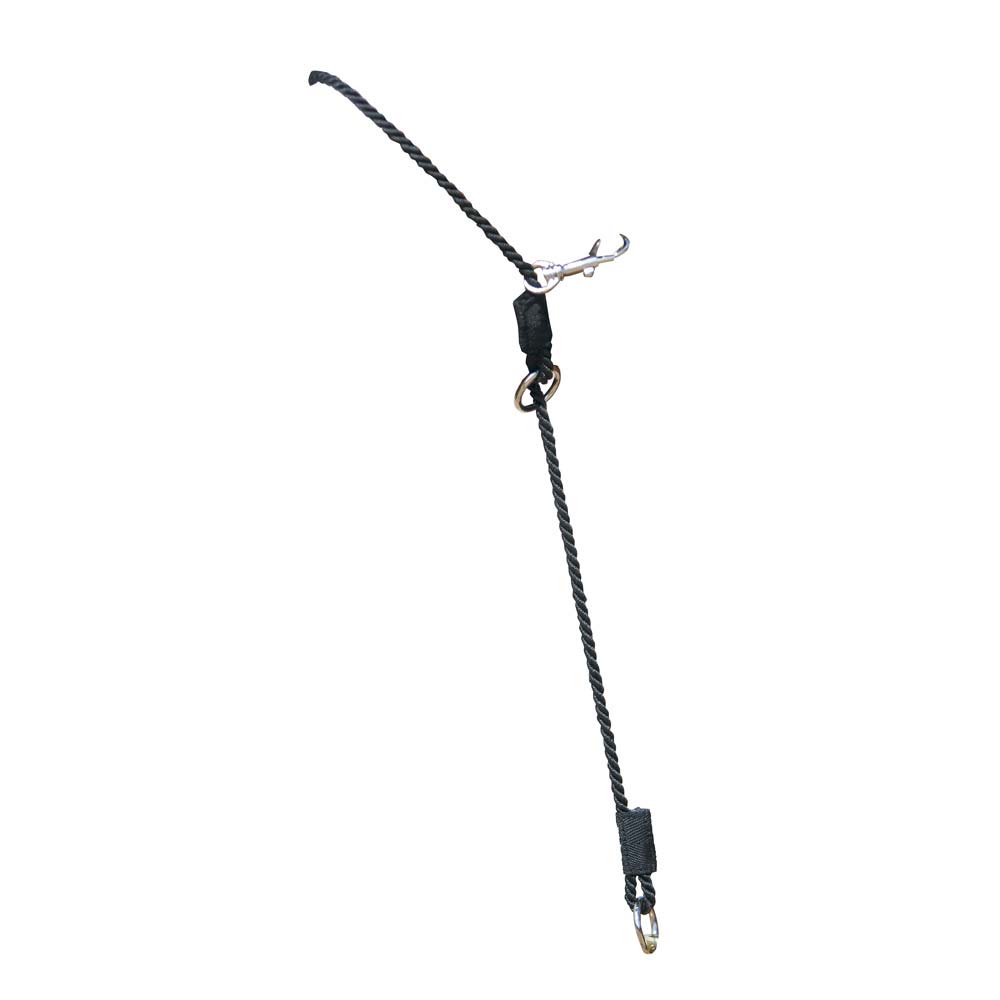 CORREA PARA CABEZADA "KEMP CONTROLLER" - Tienda Hípica Online | D’Hispania ®