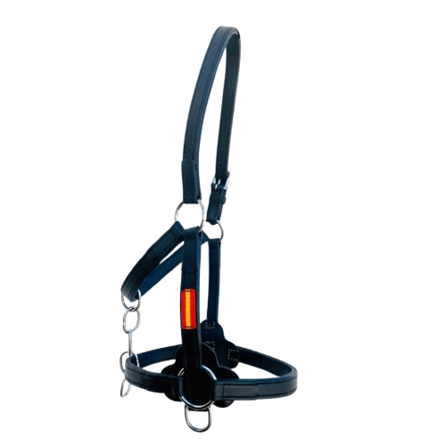 Cabezada Cuadra EXTRA BIOTHANE - Tienda Hípica Online | D’Hispania ®
