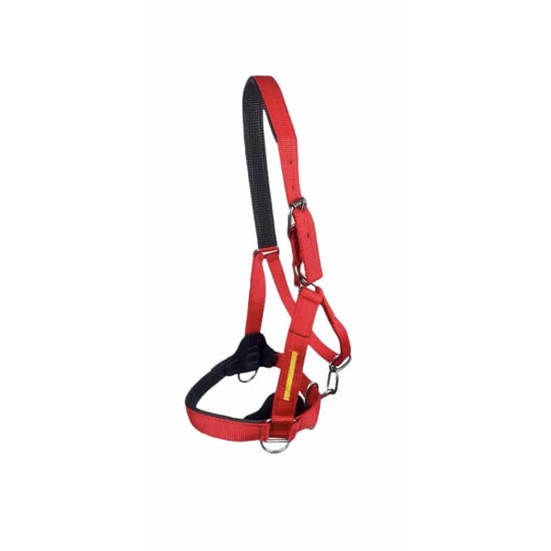 Cabezada Reforzada de cuadra - Tienda Hípica Online | D’Hispania ®