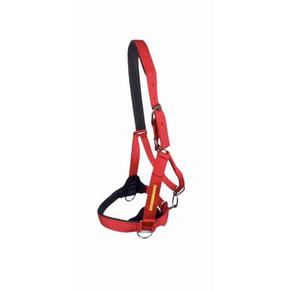 Cabezada reforzada de cuadra para caballo, en color marrón con hebillas de acero, de la marca Tienda Hípica D'Hispania.