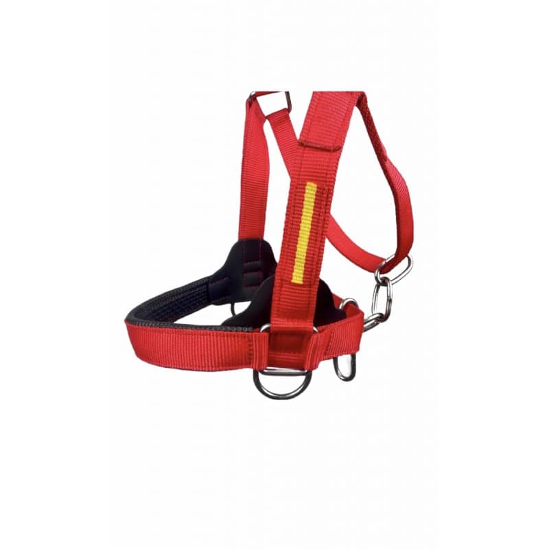 Cabezada Reforzada de cuadra - Tienda Hípica Online | D’Hispania ®