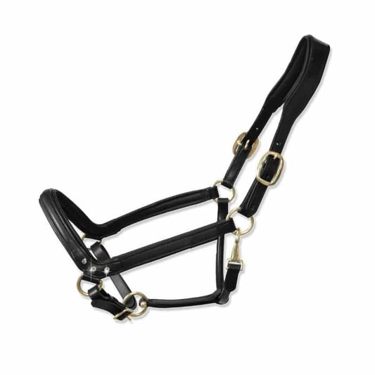 Cabezada cuadra PEEPER cuero cristal - Tienda Hípica Online | D’Hispania ®