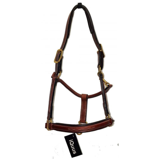 Cabezada cuadra cuero engrasado - Tienda Hípica Online | D’Hispania ®