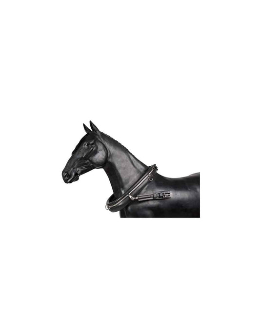Collarón Enganche Sencillo - Tienda Hípica Online | D’Hispania ®
