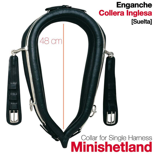 ENGANCHE COLLERA INGLESA SUELTA MINISHETLAND 48CM - Tienda Hípica Online | D’Hispania ®