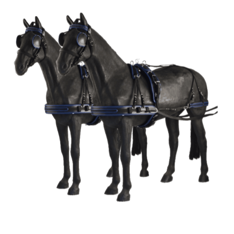 ENGANCHE DOBLE NYLON iQuus RIBETEADO - Tienda Hípica Online | D’Hispania ®