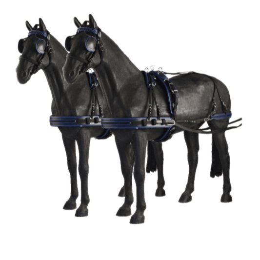 ENGANCHE DOBLE NYLON iQuus RIBETEADO - Tienda Hípica Online | D’Hispania ®