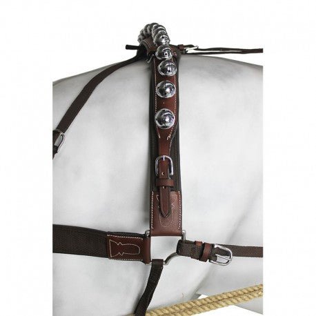 Enganche Calesero Nylon-Cuero - Tienda Hípica Online | D’Hispania ®