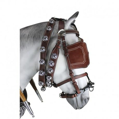 Enganche Calesero Nylon-Cuero - Tienda Hípica Online | D’Hispania ®