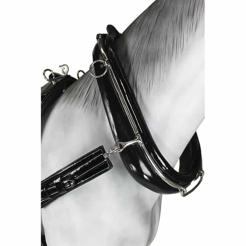 Enganche Collaron Charol - Tienda Hípica Online | D’Hispania ®
