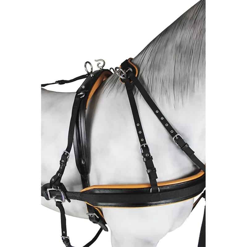 Enganche Pecherín Cuero/Nylon - Tienda Hípica Online | D’Hispania ®