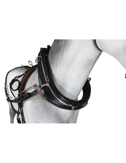 Enganche Sencillo Collarón Inglés Cuero/Nylon - Tienda Hípica Online | D’Hispania ®