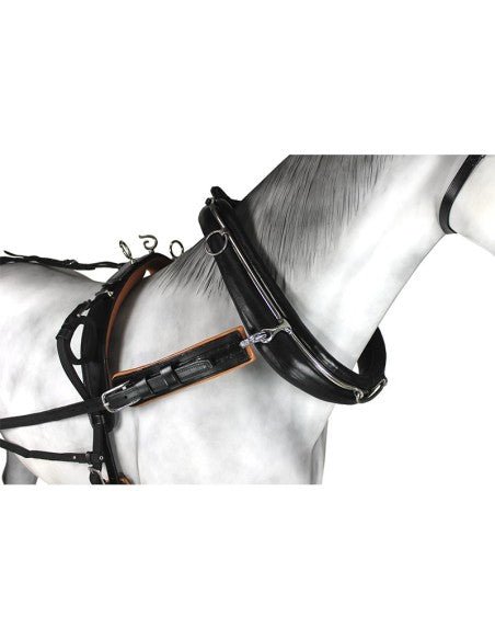 Enganche Sencillo Collarón Inglés Cuero/Nylon - Tienda Hípica Online | D’Hispania ®