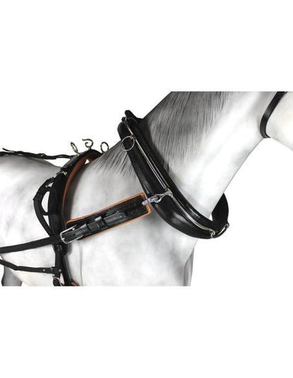 Enganche Sencillo Collarón Inglés Cuero/Nylon - Tienda Hípica Online | D’Hispania ®