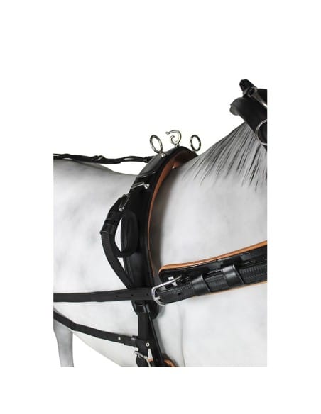 Enganche Sencillo Collarón Inglés Cuero/Nylon - Tienda Hípica Online | D’Hispania ®