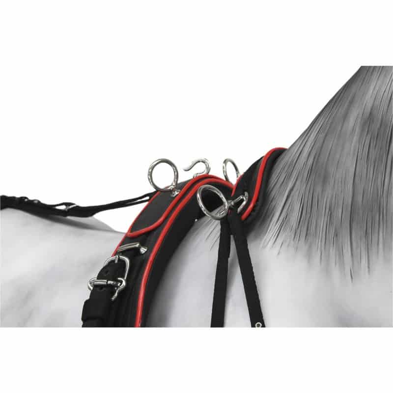 Enganche Sintético Combinado Colores - Tienda Hípica Online | D’Hispania ®