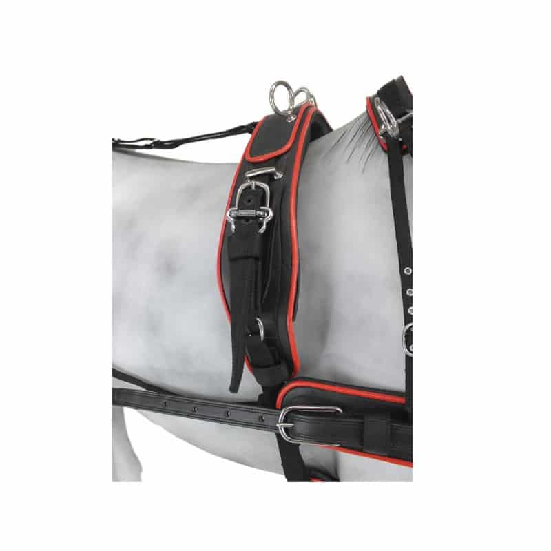 Enganche Sintético Combinado Colores - Tienda Hípica Online | D’Hispania ®