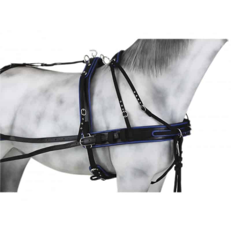 Enganche Sintético Combinado Colores - Tienda Hípica Online | D’Hispania ®