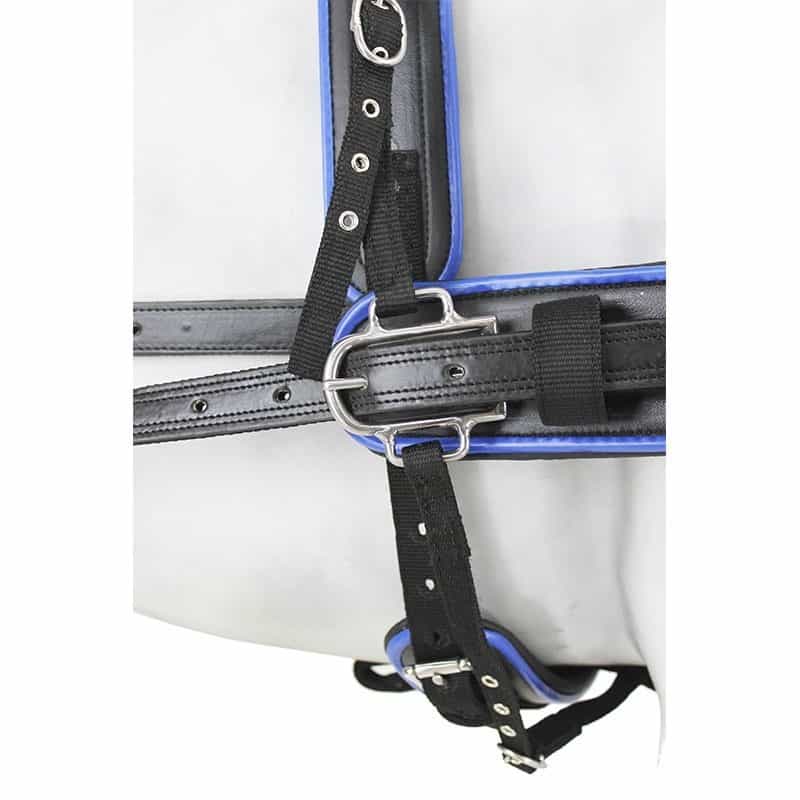Enganche Sintético Combinado Colores - Tienda Hípica Online | D’Hispania ®