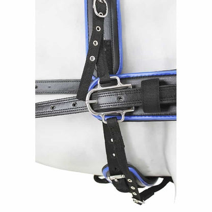 Enganche Sintético Combinado Colores - Tienda Hípica Online | D’Hispania ®