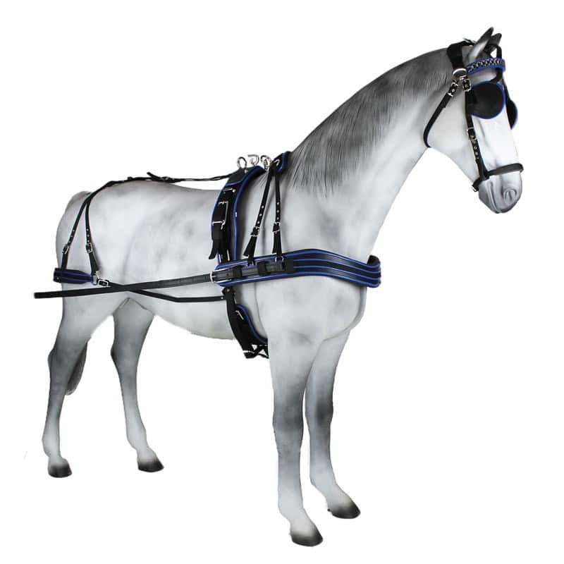 Enganche Sintético Combinado Pecherín Anatómico - Tienda Hípica Online | D’Hispania ®